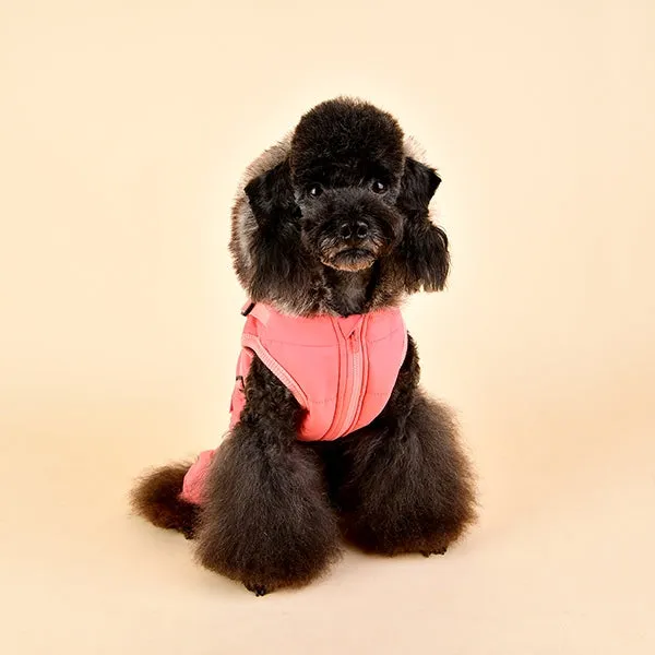 EVELYN DOG JUMPER COAT HOODIE