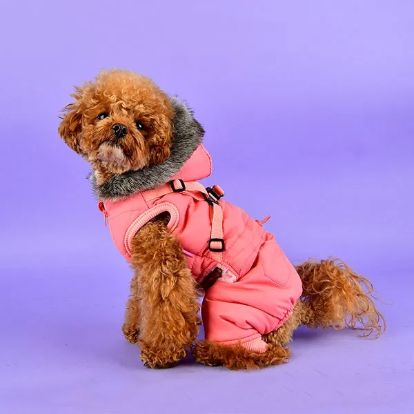 EVELYN DOG JUMPER COAT HOODIE